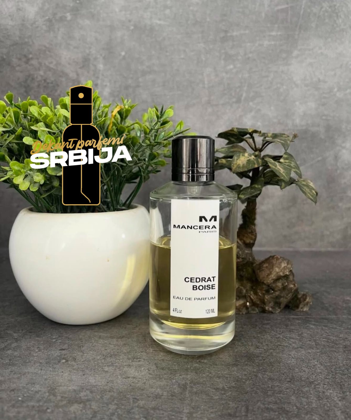 MANCERA CEDRAT BOISE