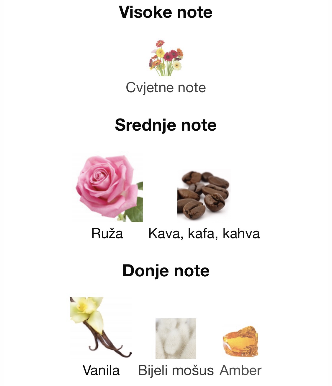 MONTALE INTENSE CAFE